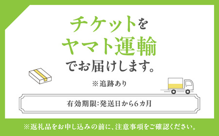 【グランドニッコー東京 台場】(選べる)レストラン利用券 40,000円