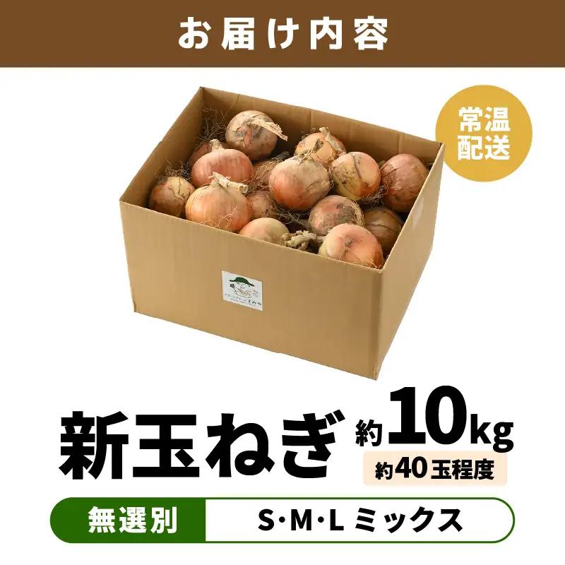 【先行予約】採れたて 新玉ねぎ 10kg（サイズ S M L ミックス）田んぼで育てた甘くて柔らか自慢の玉ねぎ！／ 常備 野菜 玉葱 たまねぎ ※2027年6月以降順次発送予定 [aw056-a020