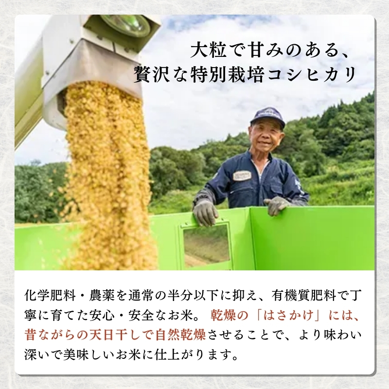 令和7年産 米 特別栽培米 コシヒカリ (白米) 10kg 10キロ 棚田米 どぶろく荘 こしひかり お米 コメ 送料無料