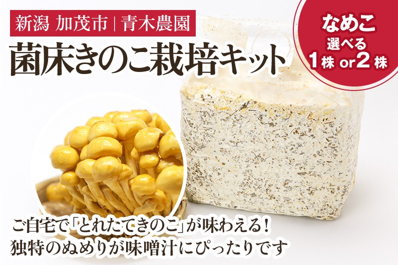 
                  【2026年先行予約】【選べる数量】菌床きのこ栽培キット なめこ 1株入り《10月上旬から順次発送》栽培キット 自家栽培 きのこ なめこ 栽培 初心者でも簡単 自宅 菌床 加茂市 青木農園
                