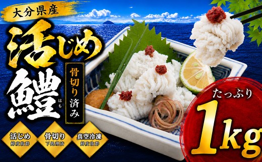 大分県産活じめ鱧（はも）1本物 たっぷり 1キロ 骨切り切身 ／ 鱧 湯引き 鱧しゃぶ はも ハモ はもしゃぶ ハモしゃぶ 鱧の天ぷら 1kg 骨切り 1000g 切身 冷凍 旬 1キロ レシピ付 天然鱧 しゃぶしゃぶ 鍋 魚 海鮮 10000円 天然鱧 冷凍 スピード発送 スピード ＜108-006＞