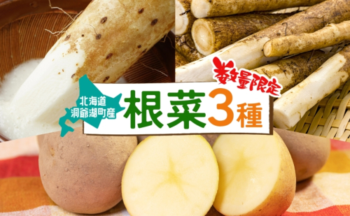 数量限定 根菜3種セット 計8.6kg 土付き 長芋 5kg 土付き ごぼう 1.5kg じゃがいも 1.8kg 11月下旬～12月下旬までのお届け 野菜 詰め合わせ 根菜 常温 青野農園 北海道 洞爺湖町