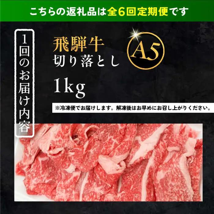 【6回定期便】 飛騨牛 切り落とし肉 A5ランク 500g×2パック (1kg) / 恵那市 / 岩島屋 [AUAJ034]