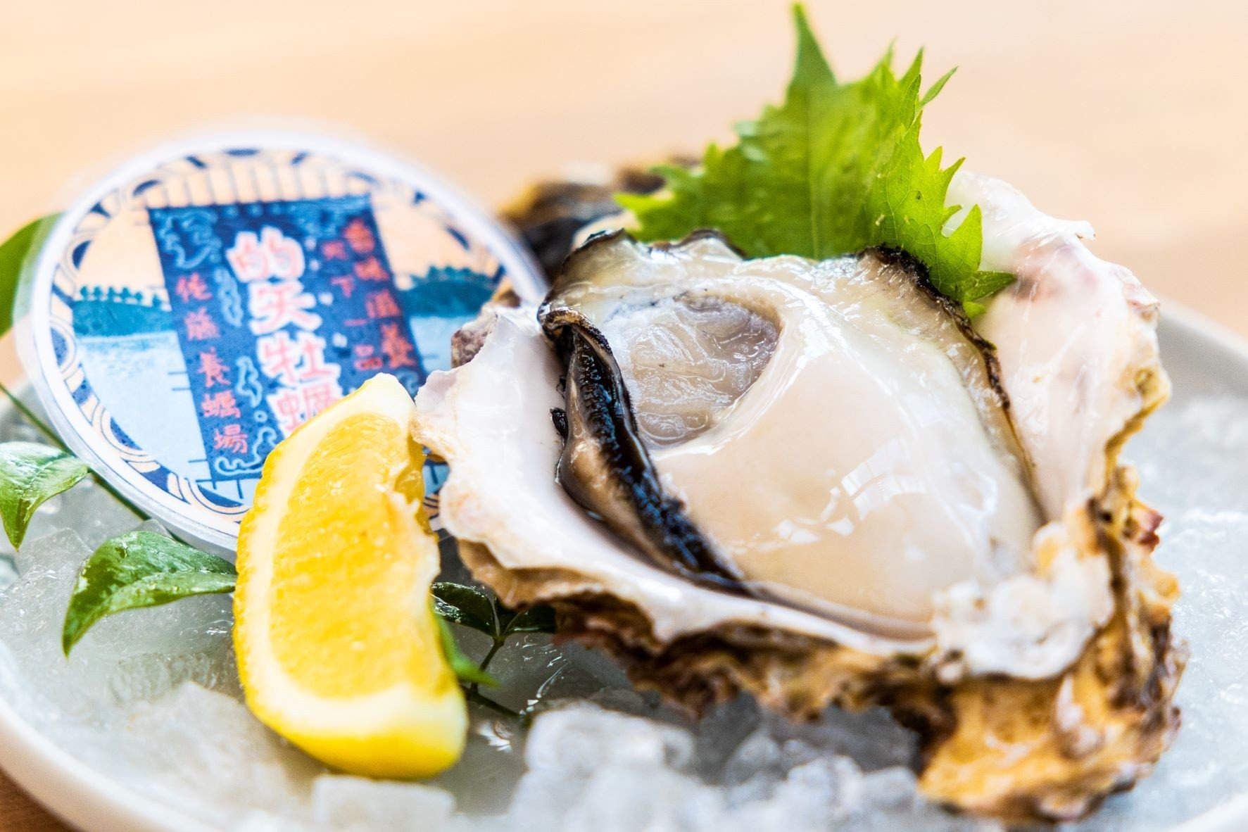 【ふるさと納税】 【選べる個数】 岩かき 6個~10個 M200g～300g サイズ 牡蠣 かき 岩牡蠣 的矢かき 三重県 伊勢 志摩 佐藤養殖場 的矢 まとや 生食用 生食 殻付き 新鮮 いせ しま 濃厚 おすすめ 直送 的矢牡蠣