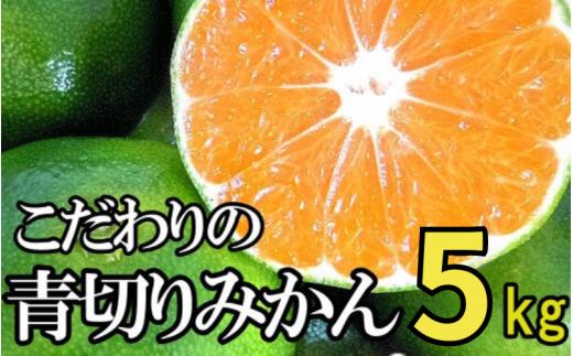 【2025年秋頃発送予約分】【農家直送】こだわりの青切りみかん 約5kg  有機質肥料100%　 サイズ混合　※2025年9月下旬より順次発送予定（お届け日指定不可）【nuk150B】
