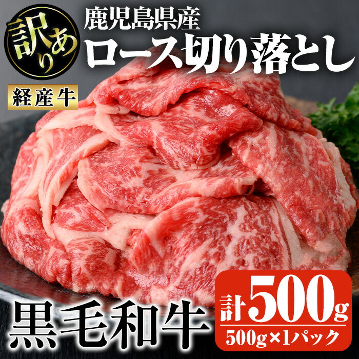 【ふるさと納税】鹿児島県産黒毛和牛(経産牛)ロース不揃い大満足切り落とし焼肉 計500g(500g×1パック) 国産 鹿児島県産 牛 小分け 冷凍 牛肉 黒毛和牛 ロース【ビーフ倉薗】