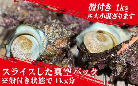 【その日に獲れたものをその日に発送！】鮮度抜群 新上五島町産 活サザエ 殻付き1kg+殻付き1kg分のスライス【ひまわり】[RBK002]