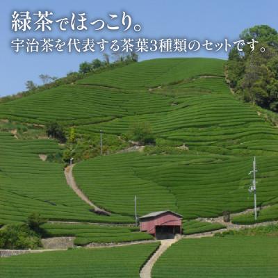 ふるさと納税 京都府 福寿(かぶせ茶) 京の香り(煎茶)  玉露かりがね 各80g 紙缶入 3本セット |  | 01