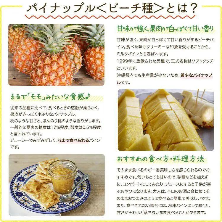 石垣島産 ピーチパイン 約2.4kg 3～4玉