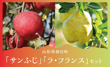 ラ・フランス＆サンふじ 詰合せ 5kg 各6～9玉 秀品 【11月中旬発送】贈り物 農家直送 山形県 朝日町産 山形県産 山形 特産 果物 フルーツ りんご リンゴ 林檎 ふじ ラフランス 洋ナシ 洋梨 セット 産地直送 秋 冬