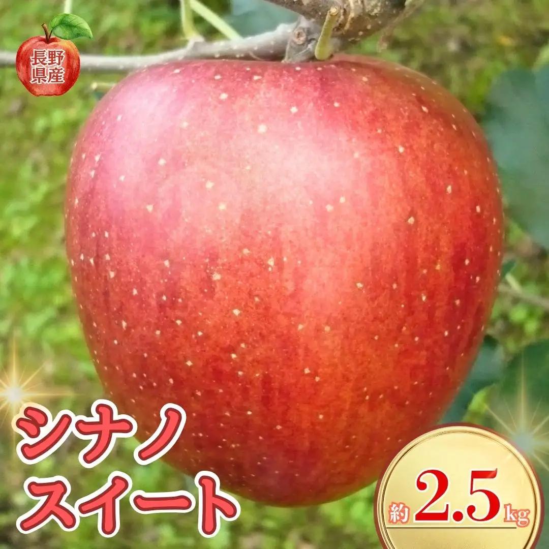 【2026年先行予約】長野県産りんご シナノスイート(長野県オリジナル品種) 約2.5kg｜りんご