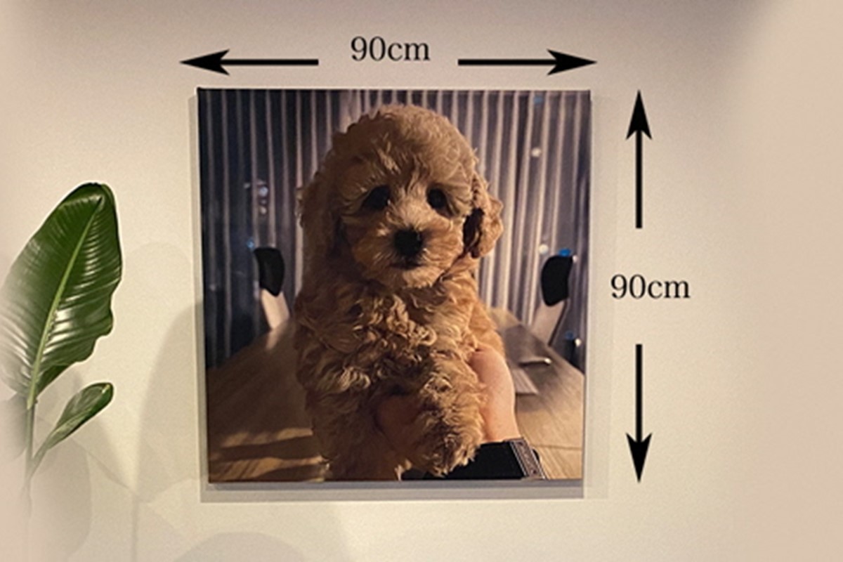 【簡単】思い出の写真で作る丹後ちりめん特大ファブリックパネル　サイズ：約90cm×90cm インテリア 雑貨 アートボード アートパネル オーダーメイド お洒落 ちりめん オリジナル プレゼント 贈り