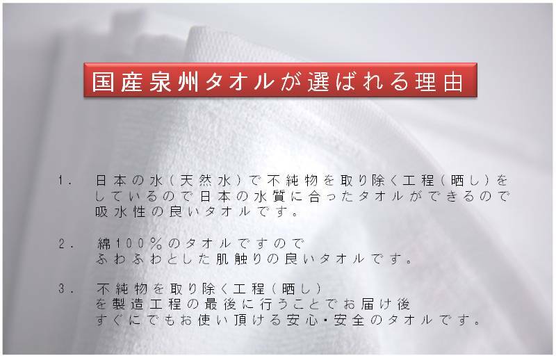 ボーダーカラー ガーゼパイルタオル 4枚【泉州タオル 国産 吸水 普段使い シンプル 日用品 家族 ファミリー】 G1138_イメージ4