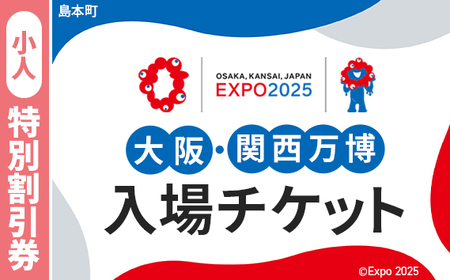 No.153 2025年日本国際博覧会入場チケット 特別割引券（小人）【島本町返礼品】／ 万博 ばんぱく EXPO 2025 大阪万博 関西万博 大阪・関西万博 パビリオン ミャクミャク 大屋根リング いのち 未来 未来社会 環境 グルメ 海外グルメ 国際交流 文化交流 観光 入場券 チケットID 夢洲 大阪府 万博 万博 万博
