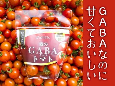 ストレス社会にぴったり！機能性表示食品 霧のGABAトマト 300ｇ×4パック（07-25）