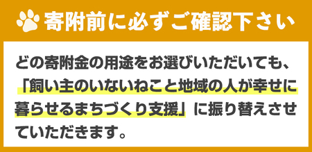飼い主のいないねこと地域の人が幸せに暮らせるまちづくり支援 (返礼品なし) 猫 ねこ 支援  TNR活動 去勢 【ksg1784】【福岡県春日市】