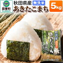 【ふるさと納税】米 あきたこまち 令和6年産 新米 秋田県産 無洗米 5kg ×1袋