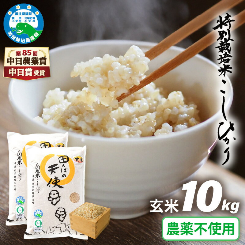 【ふるさと納税】【中日賞受賞】農薬不使用 特別栽培米コシヒカリ10kg（5kg×2）【玄米】福井県認証区分1取得「田んぼの天使」越前町 【10キロ お米 コメ 農薬化学肥料不使用 送料無料】
