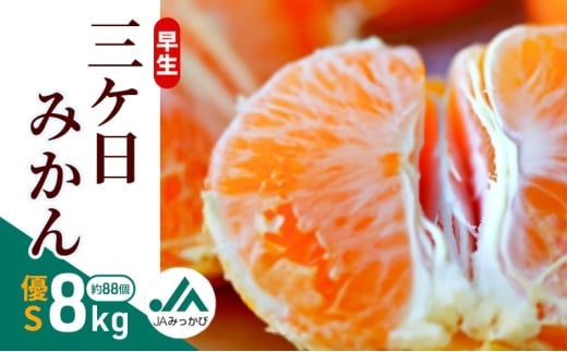 早生三ケ日みかん 優S 8kg（約88個）みかん ミカン フルーツ 果物 くだもの 機能性表示食品 浜松市 [№5360-0844]