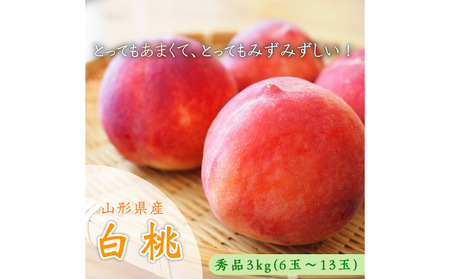 山形市産 白桃 秀品 約3kg(6玉～13玉)※品種おまかせ「硬い桃」 【令和6年産先行予約】FS23-731