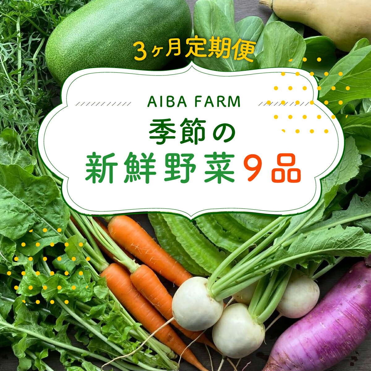 【ふるさと納税】 【3ヶ月 定期便】【栽培期間中農薬不使用】農家直送！「9品」季節の新鮮野菜詰め合わせセット AIBA FARM 野菜セット 無農薬 野菜 千葉県 富里市 直送野菜 お野菜セット 旬野菜 季節野菜 農家直送 採れたて とれたて やさい TML002