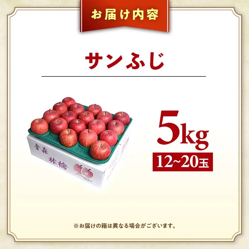 青森県産りんご サンふじ 約5kg 12月下旬～ りんご