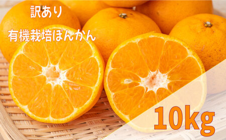 【早期予約 2025年2月上旬より順次発送】 訳あり ぽんかん 10kg サイズ 混合 有機 オーガニック 無農薬 防腐剤 不使用 須崎市 高知県 ( ポンカン 柑橘 みかん 有機ポンカン オーガニック ポンカン みかん 柑橘類 ポンカン 柑橘 みかん ポンカン 柑橘 みかん ポンカン 柑橘 みかん ポンカン 柑橘 みかん ポンカン 柑橘 みかん ポンカン 柑橘 みかん ポンカン 柑橘 みかん ポンカン 柑橘 みかん ポンカン 柑橘 みかん ポンカン 柑橘 みかん )