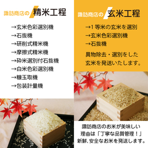 新米 五ツ星お米マイスター 厳選 ひとめぼれ 乾式無洗米 5kg 6ヶ月 定期便 【諏訪商店】 ／ 米 白米 無洗米 精米 五つ星 5つ星 5ツ星 お米マイスター 総量 30kg
