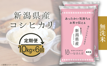 27-M106D【無洗米】新潟県産コシヒカリ10kg（5kg×2袋）【6ヶ月連続お届け】