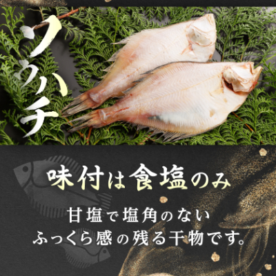 【かれい専門店】こだわりの干かれい充実セット【配送不可地域：離島】