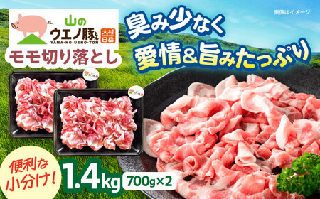 豚肉モモ切り落とし 1.4kg[ACCF001]豚肉 切り落とし