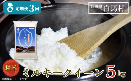 【寄附額改定】＜3ヶ月連続お届け＞ミルキークイーン精米5kg 全3回/長野県白馬村 北アルプスの雪解け水  2025年産  定期便  米  白米  精米後発送  お米  ご飯  ごはん  送料無料【B0030159】