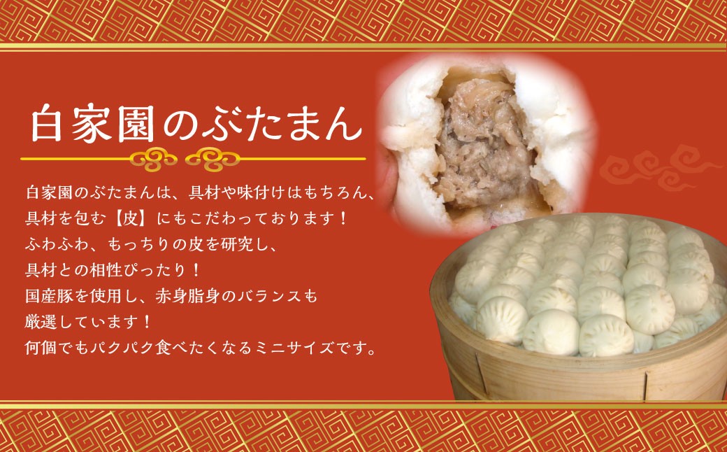 【全6回定期便】【詰め合わせ】ぶたまん20個×焼餃子10個×焼小籠包8個 ／ 中華 点心 惣菜 豚まん ギョーザ セット