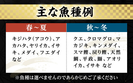 刺身セット 4、5人前（150g×5パック）《壱岐市》【あかりや】[JFO001] お刺身 タイ マグロ カツオ イカ ブリ