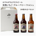 【ふるさと納税】クラフトビール3本セット(ブルーベリー・完熟いちご・ケルシュ)【1301706】