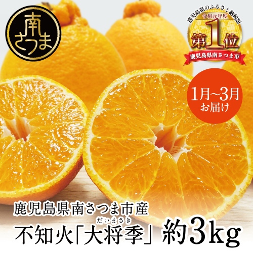 【2月～3月発送】鹿児島県産 不知火「大将季」（だいまさき）約3kg 果物 フルーツ 柑橘 みかん しらぬい ブランド 常温 JA 南さつま市