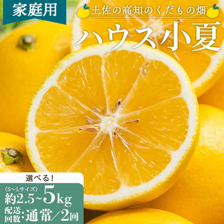 【ふるさと納税】【2026年出荷分 先行予約】【訳あり】ハウス小夏（日向夏）約2.5kg/約5kg 定期便 1/2回（家庭用）- 選べる 内容量 数量 定期便 配送回数 訳アリ キズ ニューサマーオレンジ 果物 みかん フルーツ 柑橘 こなつ 土佐の高知のくだもの畑 高知県 香南市