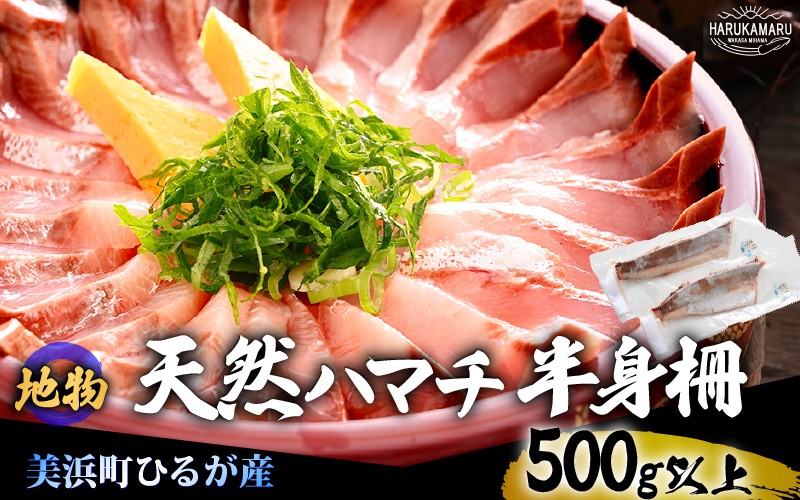 
                  【先行予約】天然！地物！ひるがのハマチ 柵2本【合計500g以上】【2026年5月下旬以降順次発送予定】はまち ハマチ ぶり ブリ 鰤 出世魚 しゃぶしゃぶ 照り焼き 塩焼き 煮付け 生食 刺身 海鮮丼 日向 福井 美浜 海鮮 冷凍 旬 プレゼント [m36-a029]
                