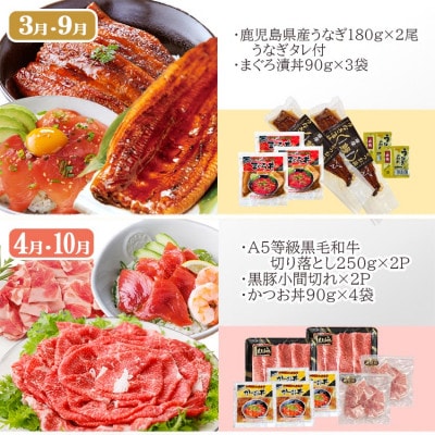 お肉とお魚　お楽しみ定期便　6回配送JJ10−0002【配送不可地域：離島】【1586314】