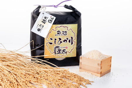 【令和7年産新米】【農家直送】豪雪地・津南町の米農家夫婦が育てた特別栽培魚沼コシヒカリ 3kg×9回（計27kg）