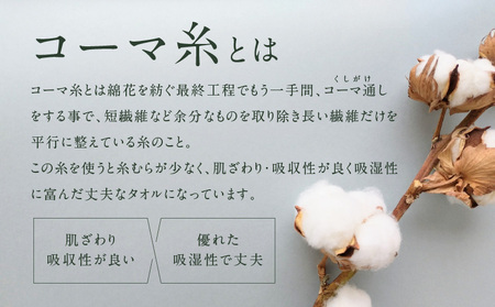 コーマカラーフェイスタオル12枚セット（サマーブラウン）泉州タオル【泉州タオル 国産 吸水 普段使い 無地 シンプル 日用品 家族 ファミリー】