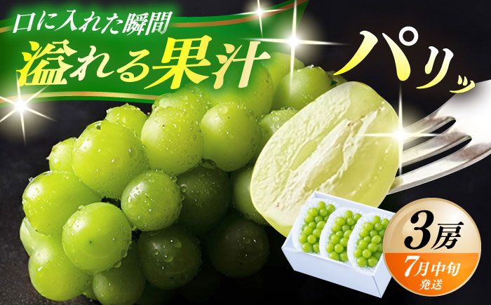 
            【期間限定】 日田産シャインマスカット3房(約1.5kg)　日田市 / 南国フルーツ株式会社 ブドウ 葡萄 ぶどう しゃいんますかっと 果物 [ARET003]
          