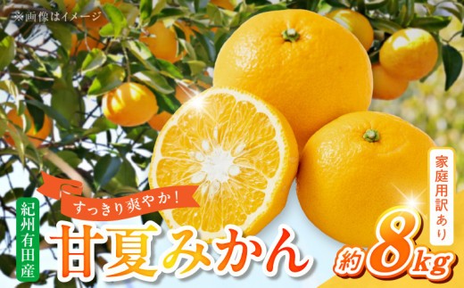 
                  【2027年先行予約】【ご家庭用】【訳あり】紀州有田産 すっきり爽やか 甘夏みかん ８kg
_G7362
                