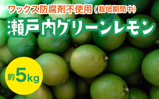 
            瀬戸内 グリーンレモン 約5kg【栽培期間中防腐剤ワックス不使用】【先行受付】【2025年10月以降発送】レモン 国産 佐木島 三原 広島 フルーツ 果物 柑橘 柑橘類 檸檬 017056
          