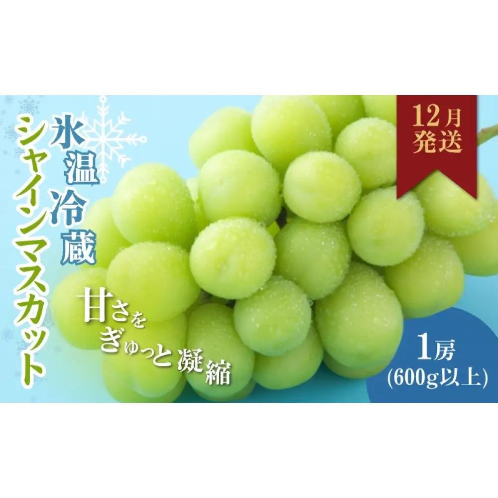 信州やなぎさわ農園果逢　信州産シャインマスカット（12月発送）　冷蔵1房(600g以上)大粒&大房 | 果物 ぶどう シャインマスカット 産地直送