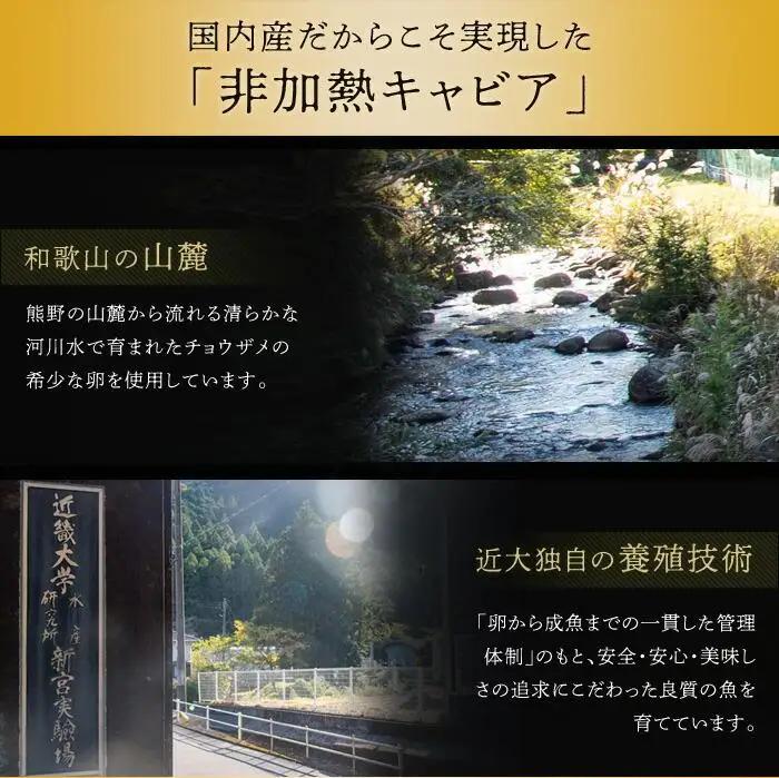 近大キャビア10g×1個 ［KD4］