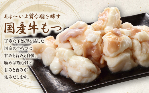 博多鶏だしもつ鍋セット(3〜4人前)