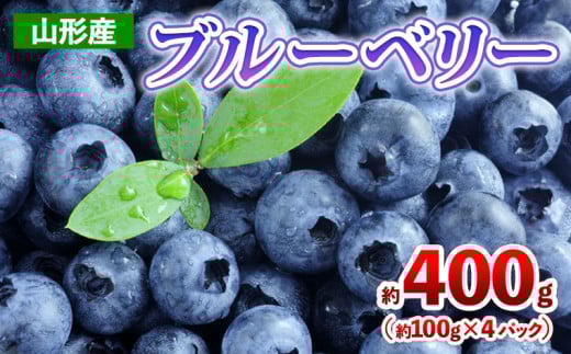山形産 ブルーベリー 約400g(約100g×4パック) 【令和7年産先行予約】FS24-787