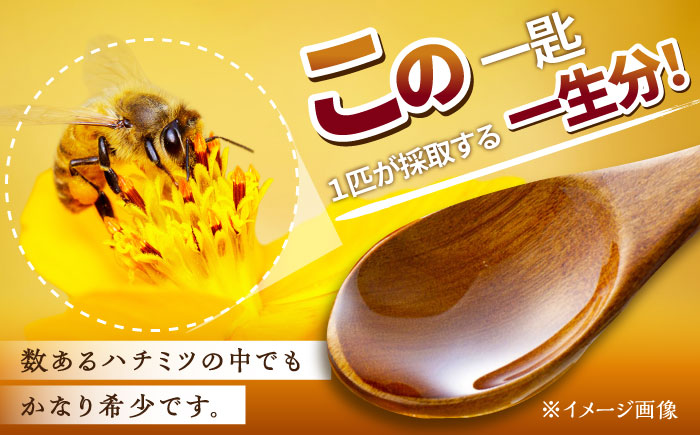 【コクと味わい深い甘み】 日本蜜蜂 百花 はちみつ 200g 純粋蜂蜜 /永尾 忠則 [UAS003] 蜂蜜 ハチミツ 日本ミツバチ