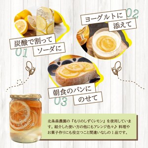 レモンはちみつ漬け 400g | レモン れもん 檸檬 はちみつ ハチミツ 愛媛県 松山市産 国産蜂蜜使用 ギフト プレゼント ソーダ ヨーグルト アイス 家飲み 【HMN010】